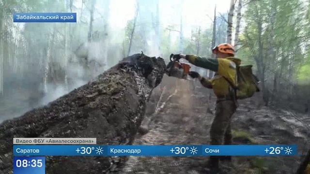 Первый канал # Новости_К ситуации с природными пожарами