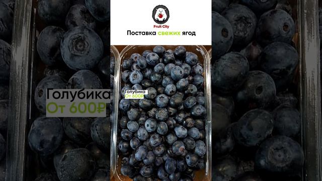 Поставка свежих ягод
+7 909 660 3636