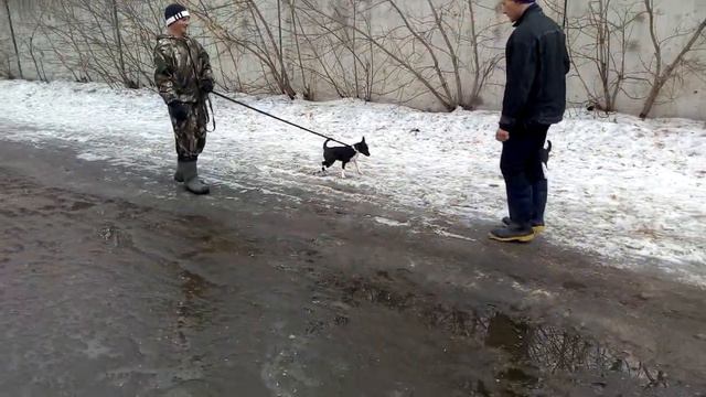 Крошики