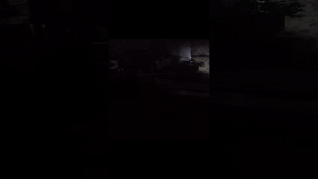 Психиатра буйной! В квартире над нами еженощные пьяные погромы.