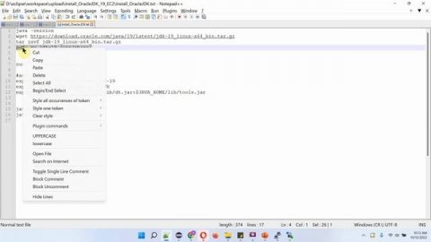 How to Install Java JDK 19 on Amazon EC2 Instance or Linux Operating System? | JDK installation