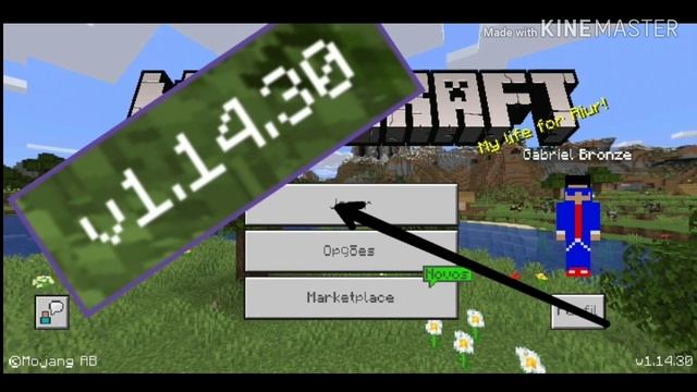 Minecraft v.1.14.30