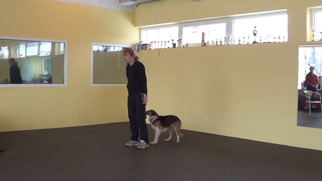 Кайса - стоп на подзыве через движение назад