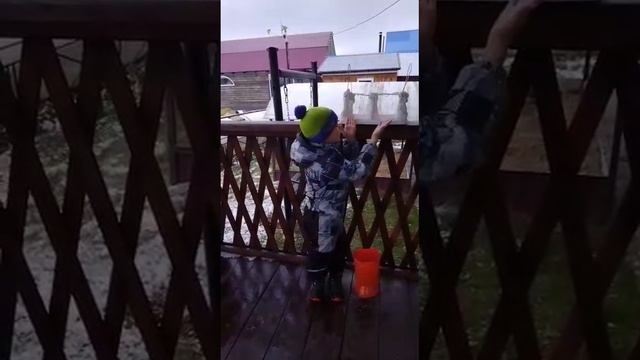 Стихотворение о зимующих птицах