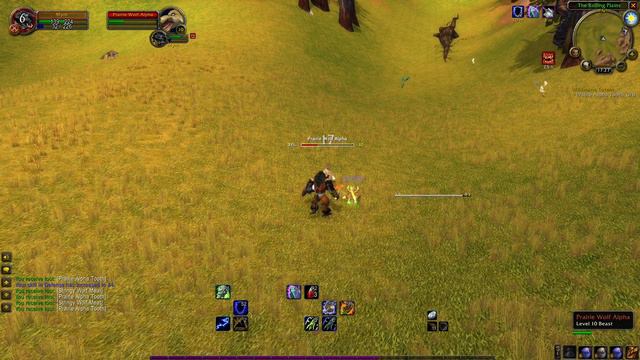 Mulgore Quests - Wildmane Totem (WoW Classic)