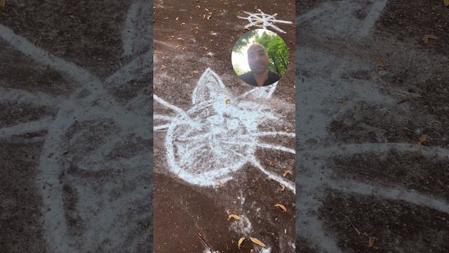 Погода и кот