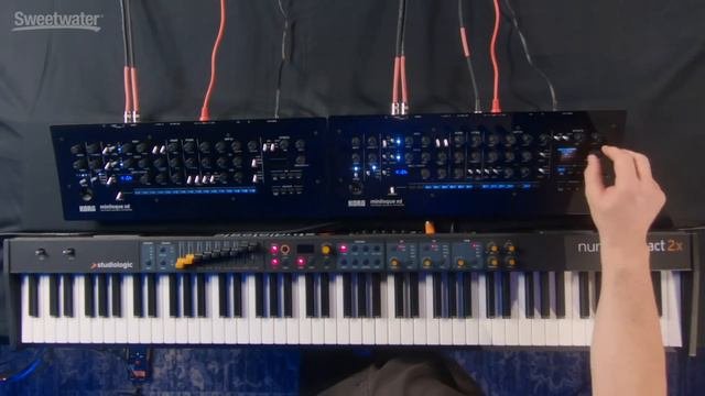 Korg Minilogue XD 4-voice Analog Synth Module Demo  Daniel Fisher