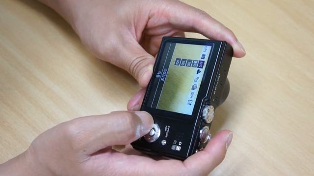 Leica V LUX 40 Interface