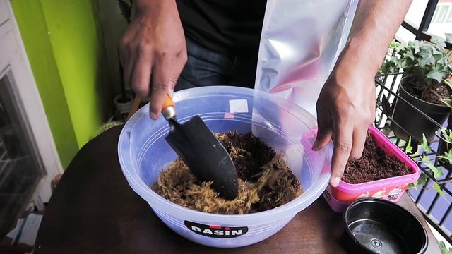 Substrate Mix For Terrariums (Soil Mix For Terrariums)