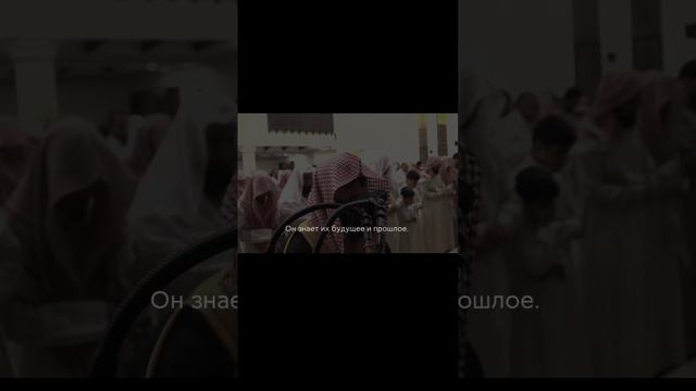 Аят аль-Курси / Мухаммад аль люхайдан