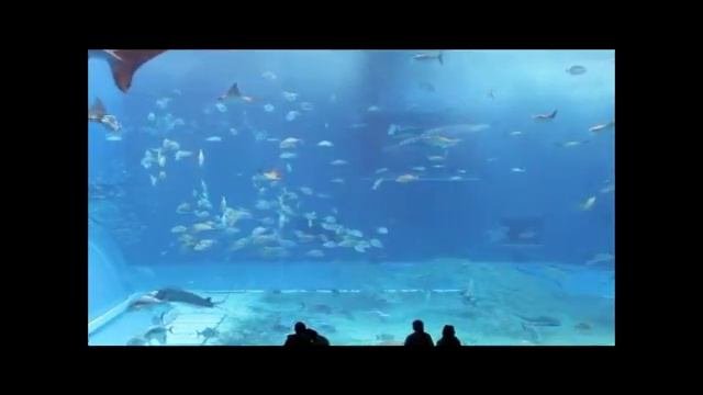 Музыка