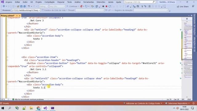 Bootstrap 5 Accordion no ASP.Net MVC .Net 6. Visual Studio 2022 Vídeo 5
