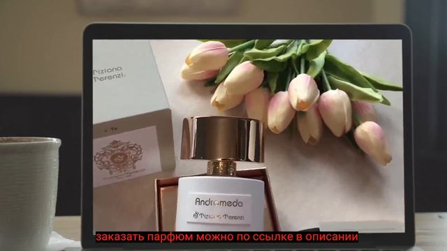 Купить Андромеда
