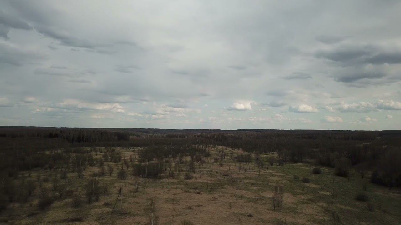 Тульская область, Занинка, окрестности деревни