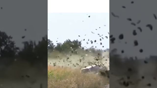 С нами в баню только так 😉