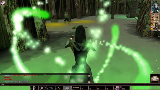 Let's Play Neverwinter Nights: Witch's Wake 09 Meerwood