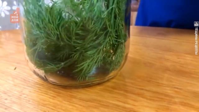 Были мы зелёные, стали мы солёные: