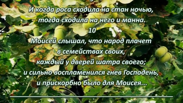 Сидели и плакали  и говорили: кто накормит нас мясом?