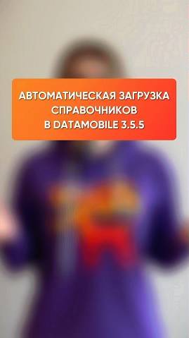 Автоматическая загрузка справочников в DataMobile 3.5.5