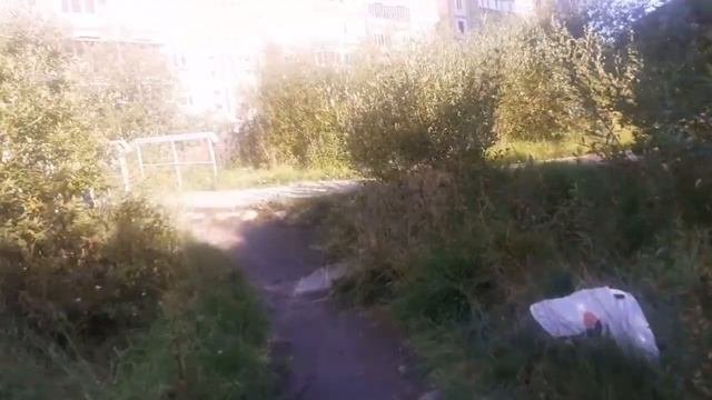 ВЛОГ 592 ПОХОРОНЫ НА УЛИЦЕ/ЖЕЛТЫЙ РУЛИТ/НОВЫЙ ГРАФИК