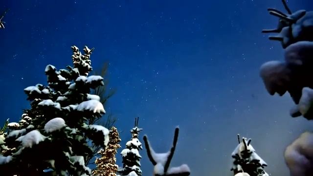 как правильно рассчитать фундамент