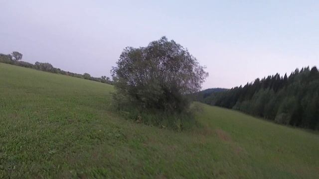 Практика)