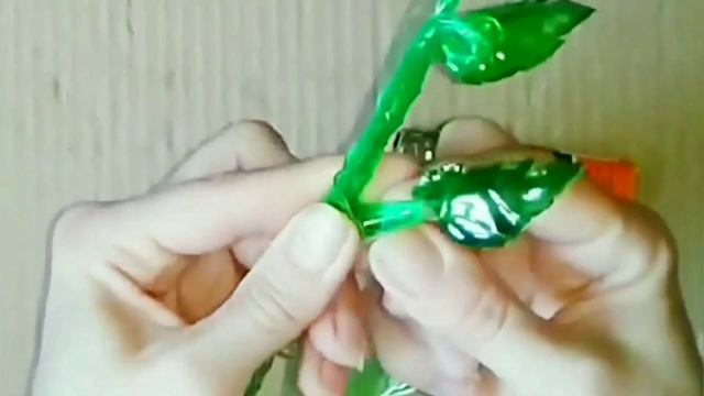 Выставила на улицу  теперь все соседи носят разноцветные Пластиковые бутылки.Изготовление цветов