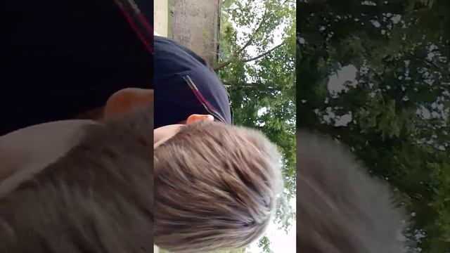 сравнение дешёвой и дорогой Колы