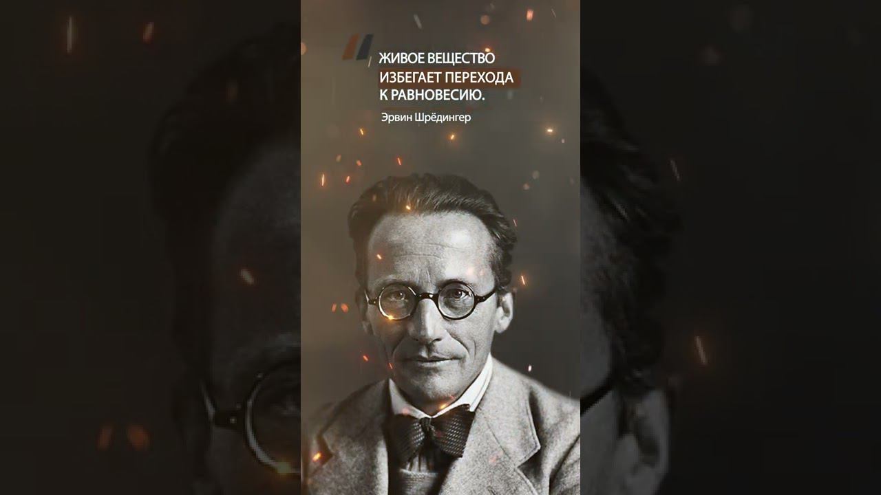 Эрвин Шрёдингер Все возможно ровно до тех пор, пока не сделан выбор.