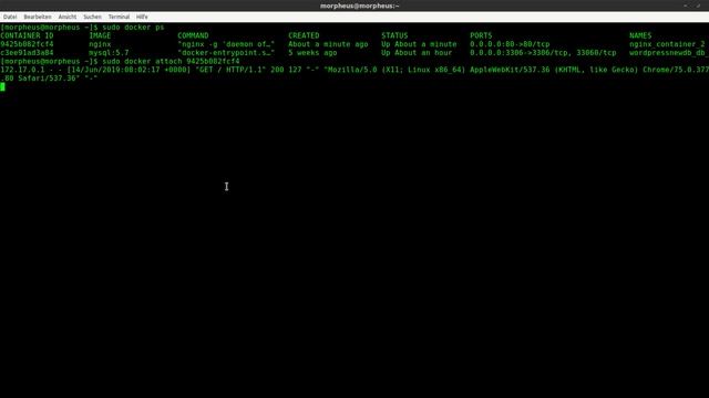 Docker Tutorial #18 - Logs ansehen