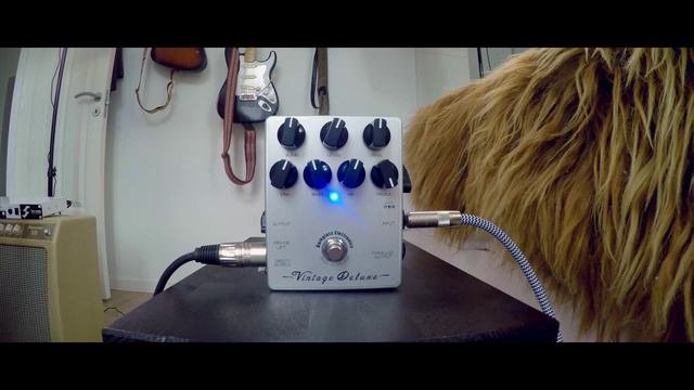 Darkglass Electronics Vintage Deluxe demo