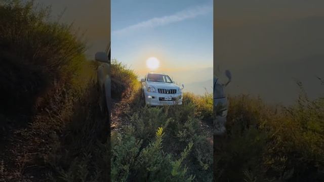 Toyota Prado 4x4 offroad video