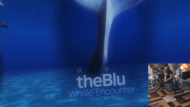 HTC Vive Virtual Reality - theBlu