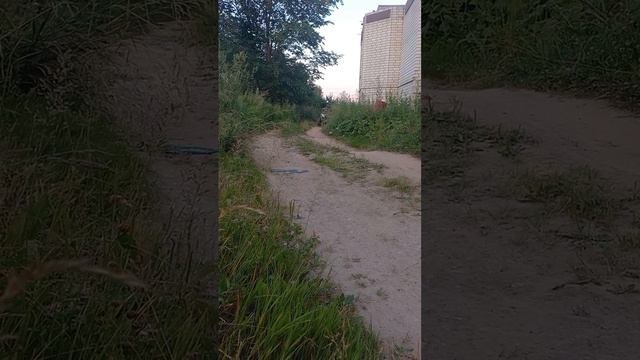 Покатушки####квадроцикл