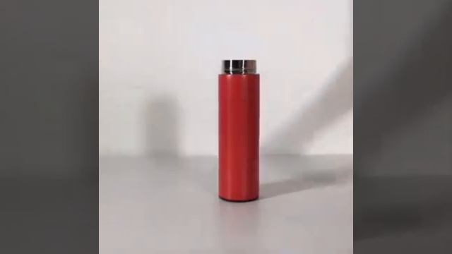 Термос с индикатором температуры Smart Thermos