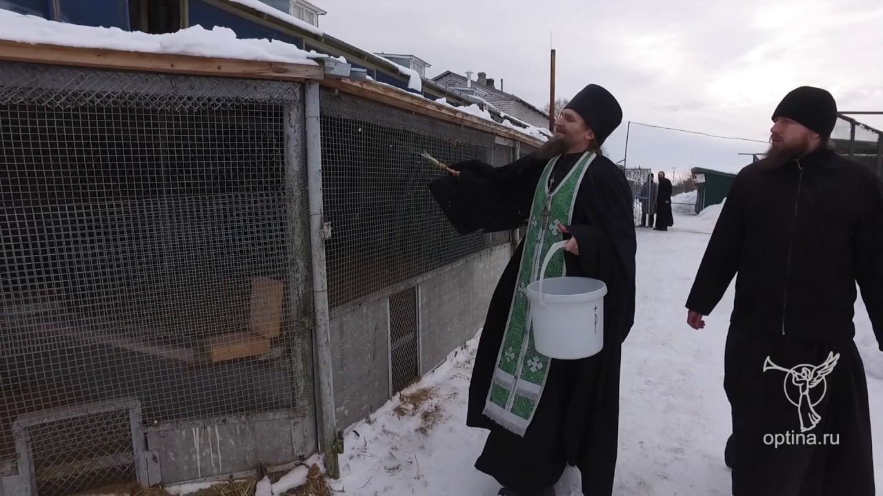 Кропление подсобного хозяйства святой водой в день Богоявления