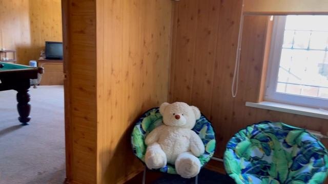 Дом с.Харино ул.Береговая 23