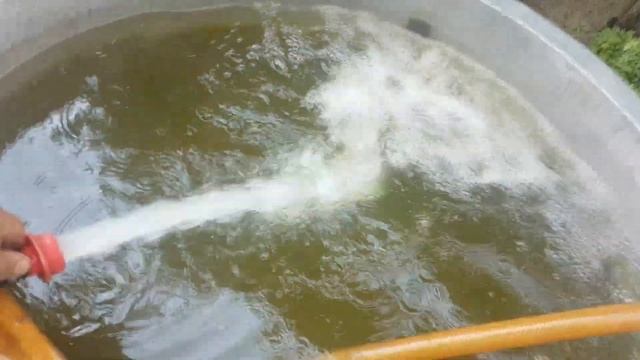 Elpumps