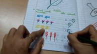 Daily practice worksheets for kids/ easy learning activity/preschool learning worksheets ideas