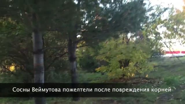 Парк Ульянова 13.10.13 МЫ РЯДОМ