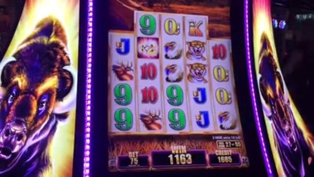 Buffalo Grand Slot Machine Free Spin Bonus Aria Casino Las Vegas 8-17