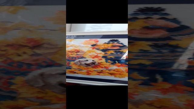 Риолис оформление вышивки