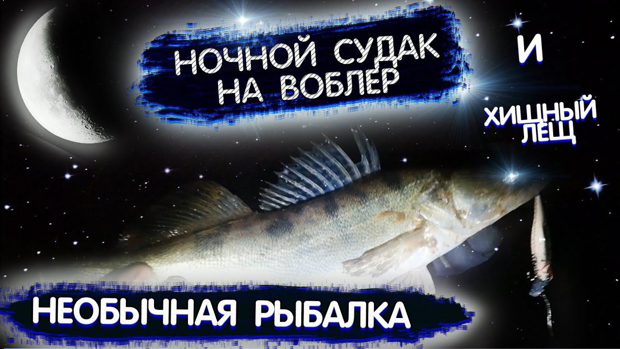 Ночной СУДАК на воблер и хищный лещ, странная РЫБАЛКА на СПИННИНГ на Москва реке.