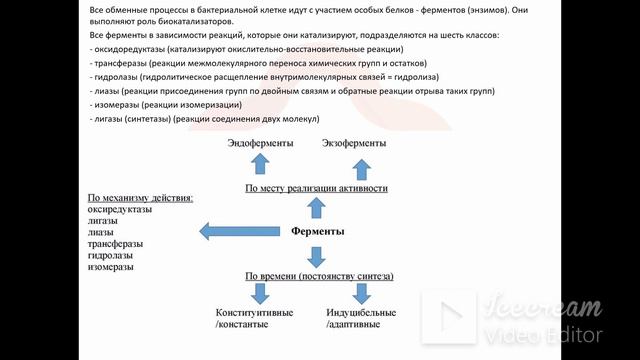 7. Питание и дыхание микроорганизмов