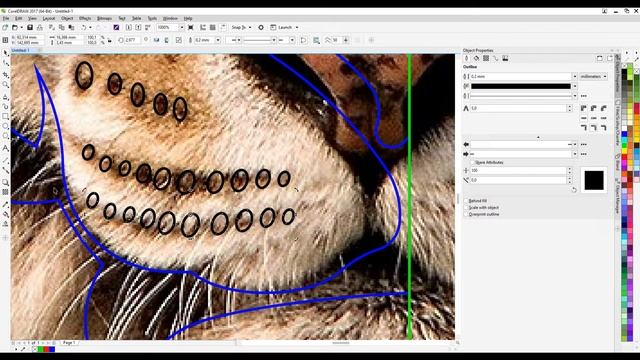 Manually trace of a tigers head in CorelDRAW