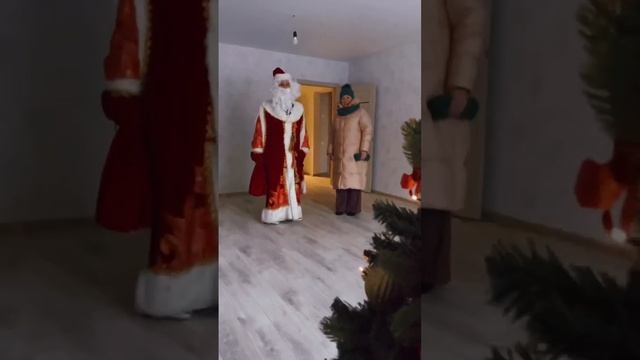А в Апрелевке дарим ёлочку на Новый год!