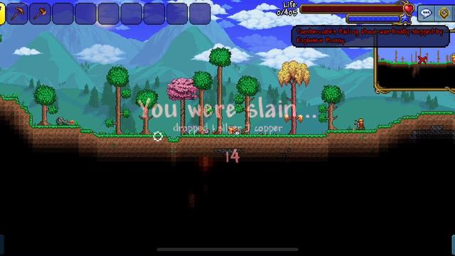I found how to curse terraria with this seed