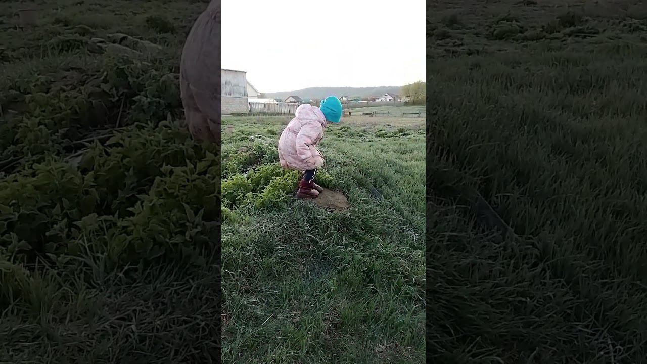 раннее утро до восхода солнца в деревне #весна2024 #cutebaby #природа
