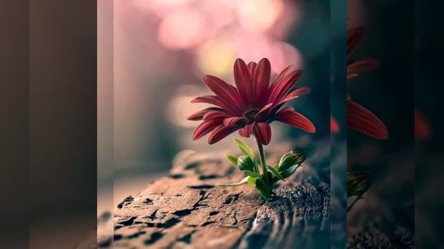 В чем ценность души? 174