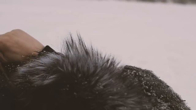 PoZiTiV - Сон наяву